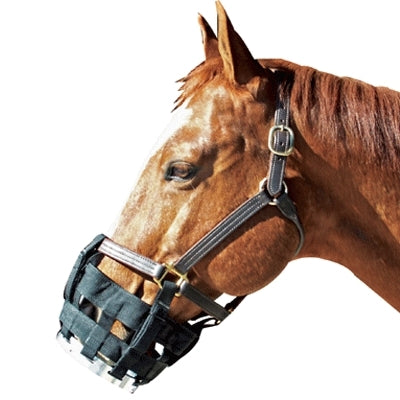 Best Friend Clip-on Cribbing Muzzle