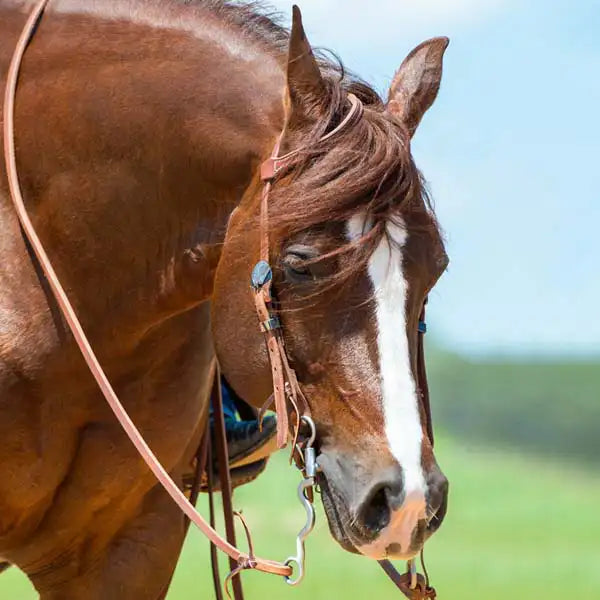 Western Headstalls