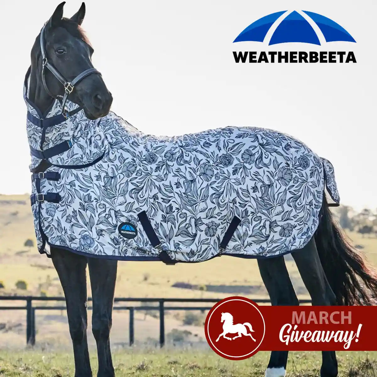 Horse wearing a patterned Weatherbeeta flysheet with a March Giveaway logo in the background.