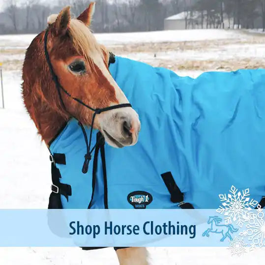Horse Clothing