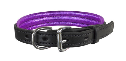 dc101bpu-purple-back.jpg
