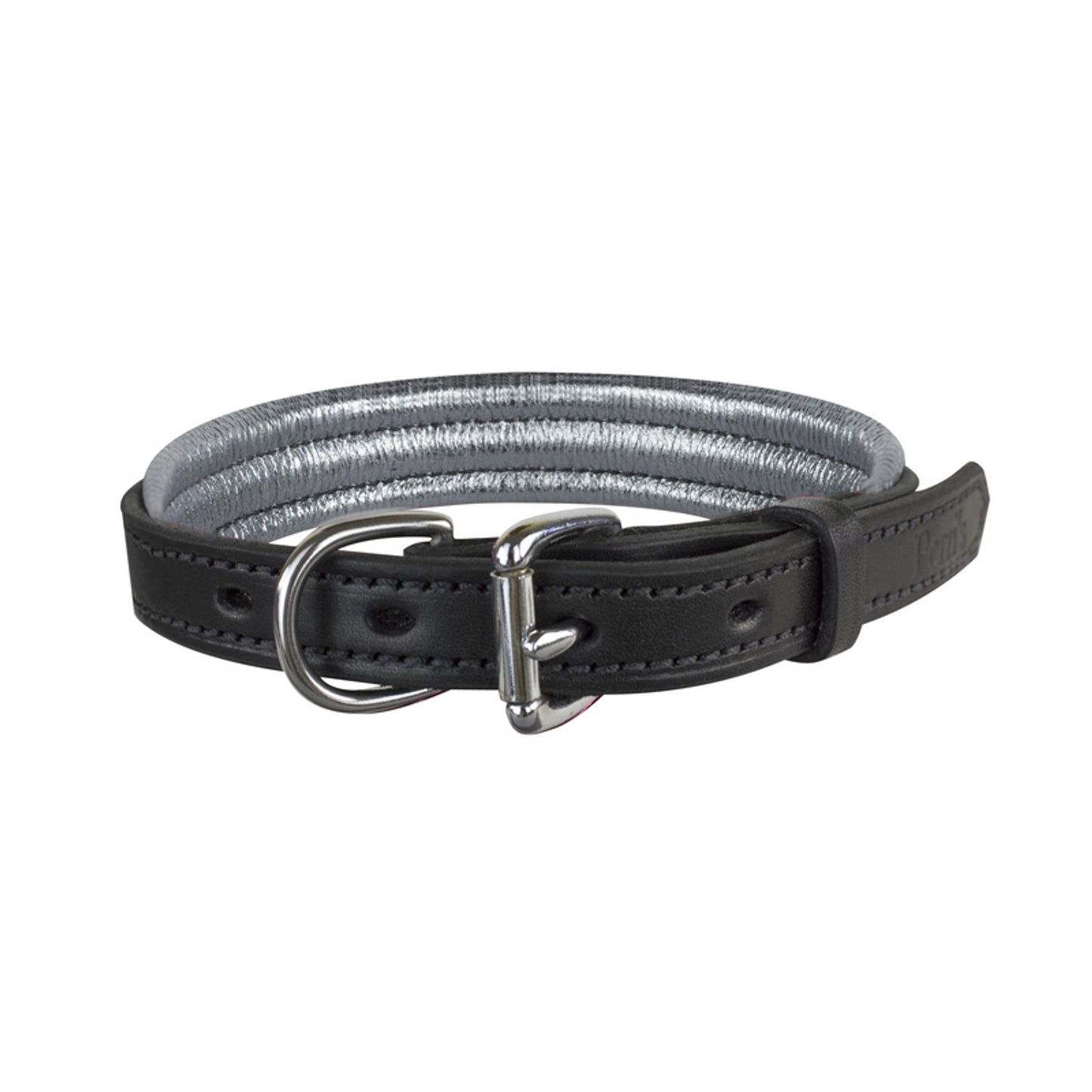 dc101bsv-silver-back.jpg