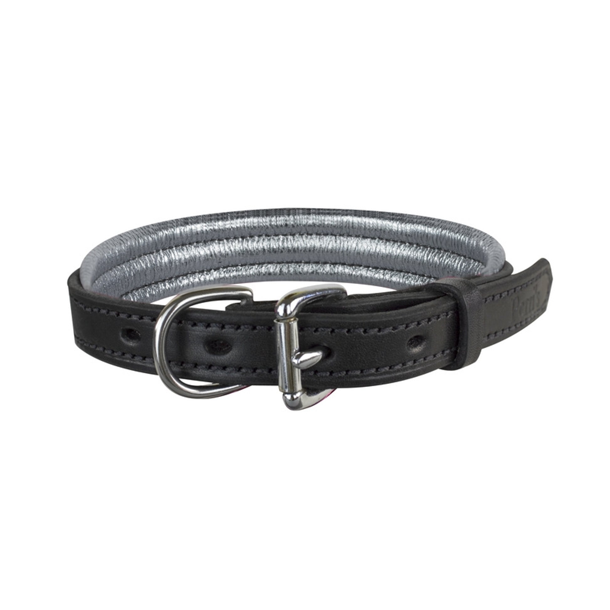 dc101bsv-silver-back.jpg
