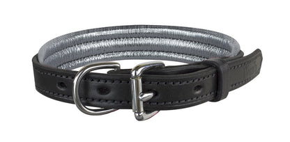 dc101bsv-silver-back.jpg