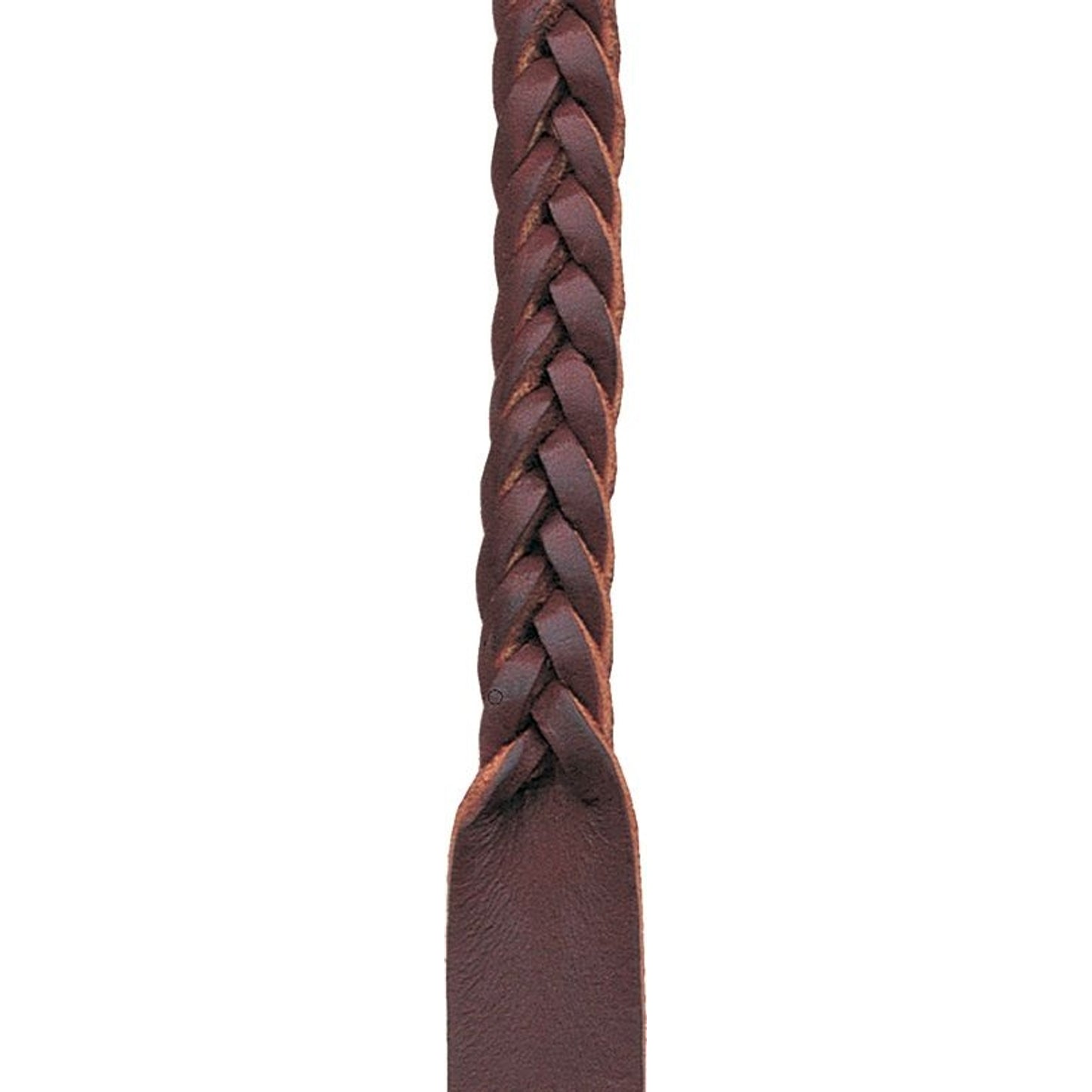 eb00129-v2.jpg