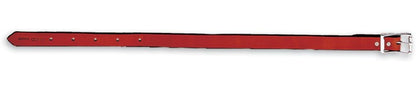 eb00179-chestnut.jpg