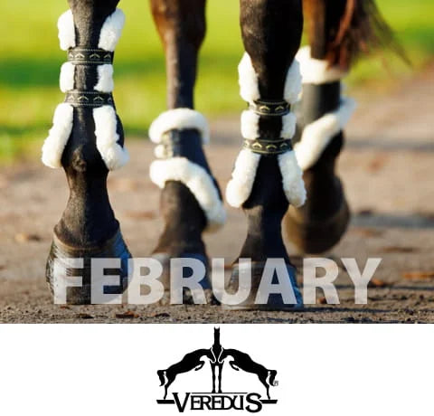 Close-up of horse hooves with protective boots, 'VEREDUS' brand logo visible, and 'FEBRUARY' text.