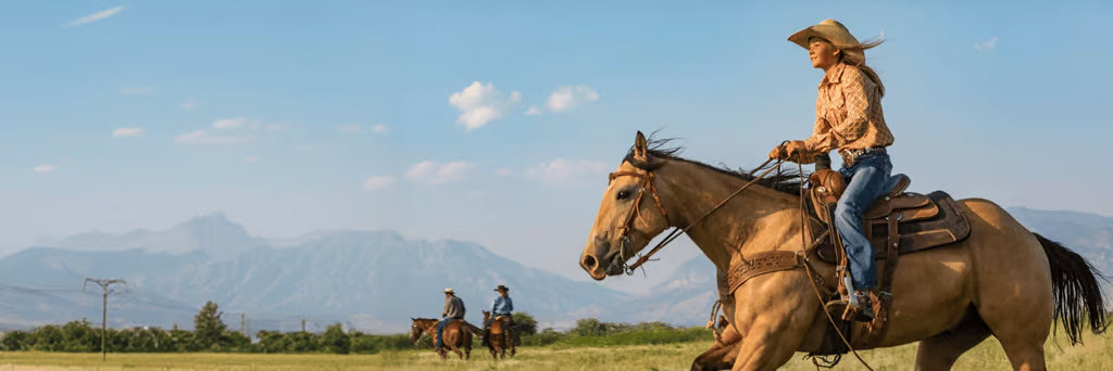 Riding Made Easy with Trusted Western Horse Gear