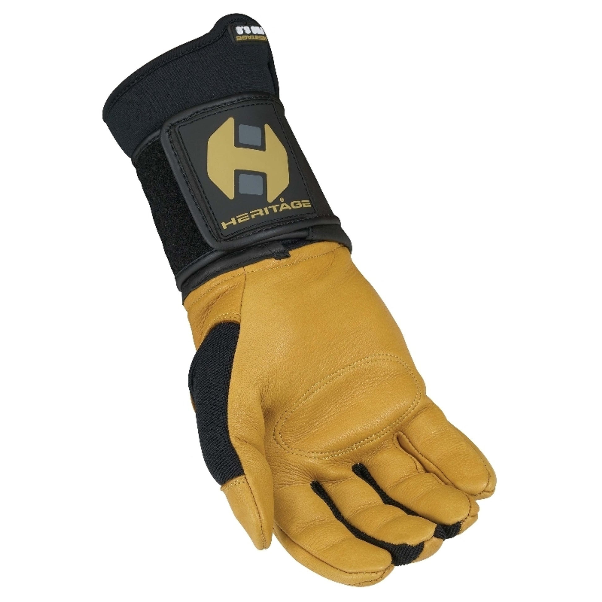 hg332rpalm.jpg