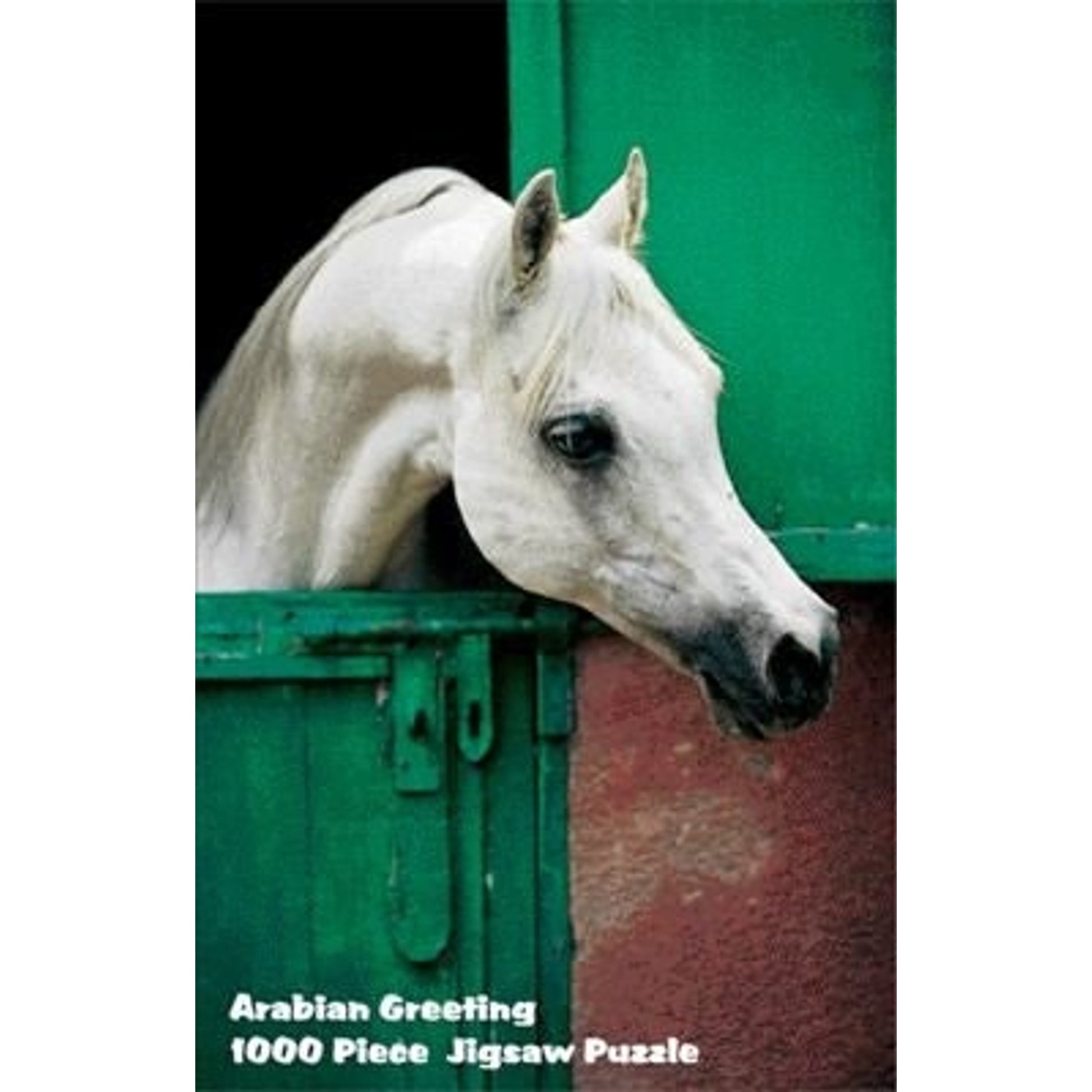 Puzzle - Arabian Greeting 1000 Pc