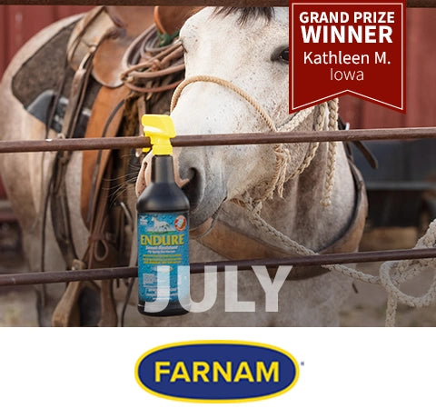 July Grand Prize Winner - Kathleen M. from Iowa