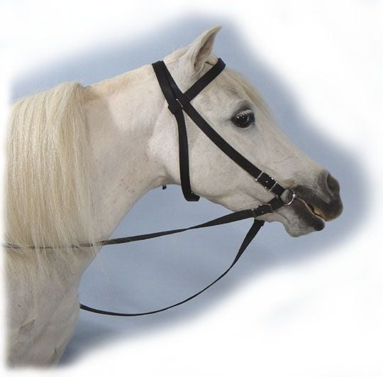 Weavers Tack Pony Nylon Bridle ns