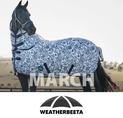 Horse wearing Weatherbeeta Fly sheet with text March overlay