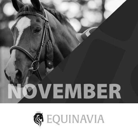 Horse with 'November Equinavia' branding.