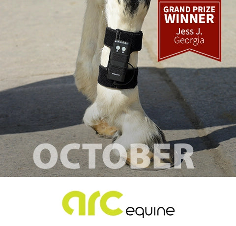 October Grand Prize Winner - Jess J. from Georgia