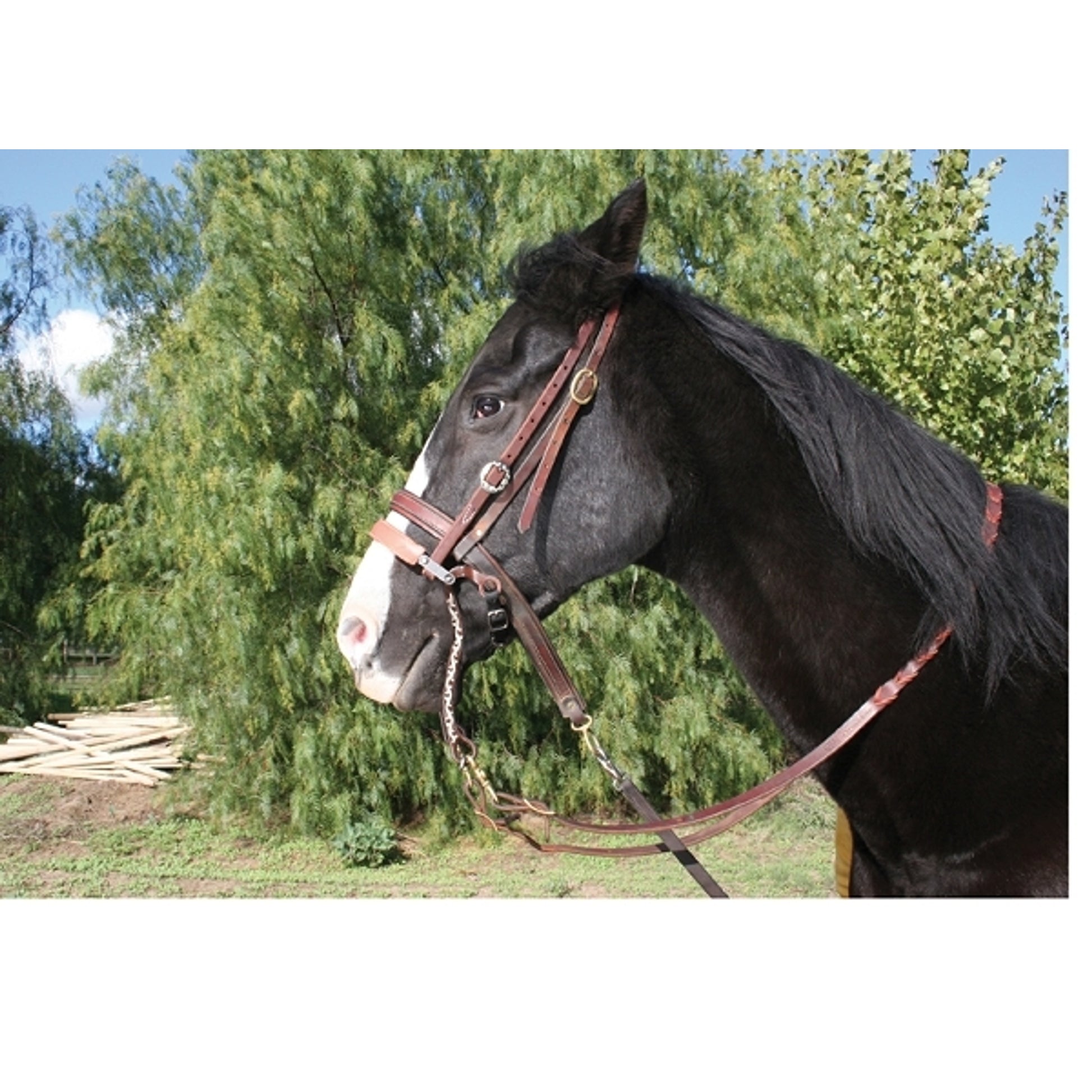 pc-avb_132onhorse.jpg