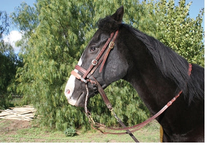 pc-avb_132onhorse.jpg