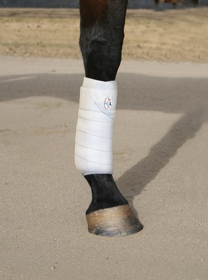 pc-combobandage_onhorse.jpg