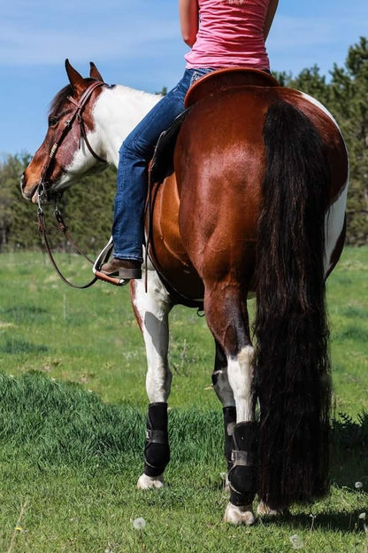 pegasuslifestyle.jpg