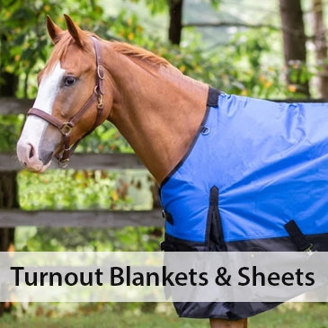 Turnout Blankets and Sheets