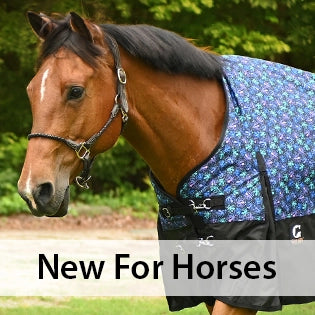 New products for horses