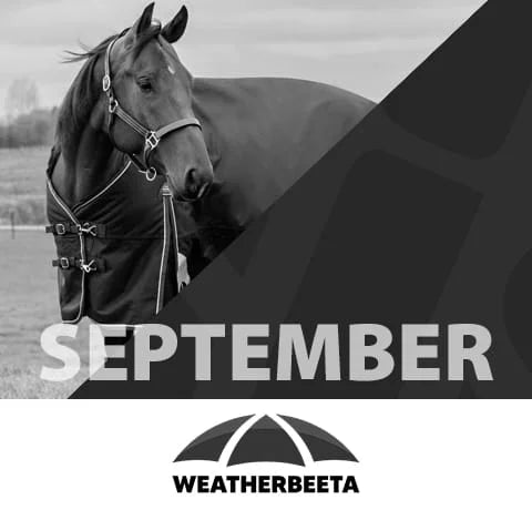 Horse wearing a Weatherbeeta bridle with 'September' text overlay