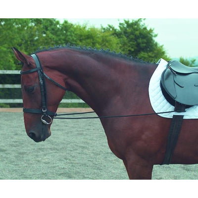 shires-433.jpg