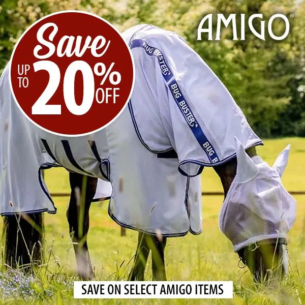 horse grazing in a grassy field wearing amigo fly sheet and mask