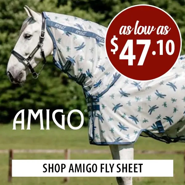 White horse wearing a patterned fly sheet with AMIGO branding and a promotional offer.