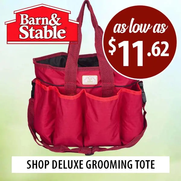 Red grooming tote bag with Barn & Stable logo and price tag on a light green background