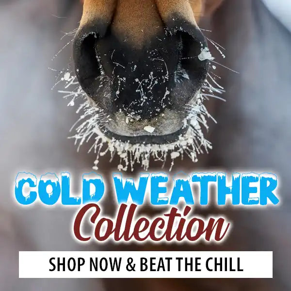 Cold Weather Collection! Beat the Chill
