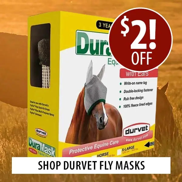 Box of Durvet fly masks with promotional text