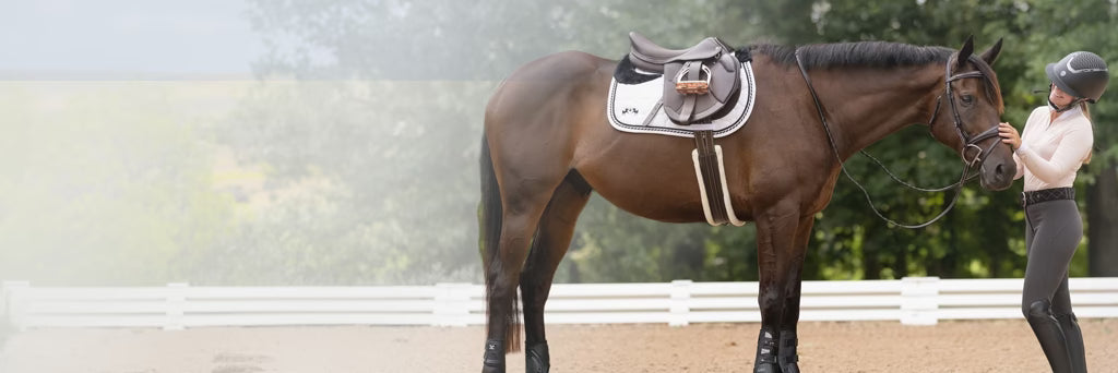 Ride in Style with Premium English Tack