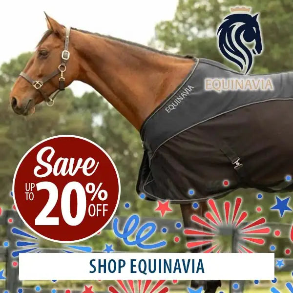 Horse wearing an Equinavia fly sheet with promotional text