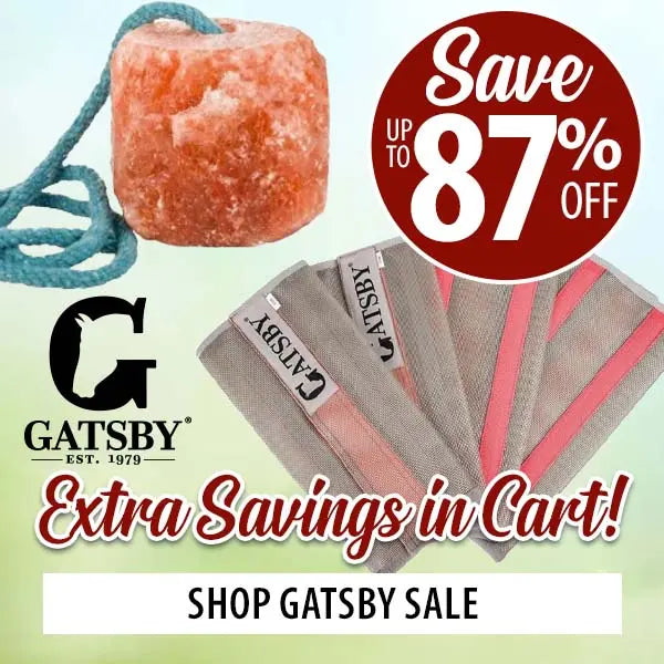 Gatsby salt product with promotional text and sale offer on a light green background