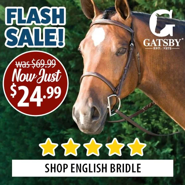 Horse wearing an English bridle with a Gatsby logo, promotional text, and five-star rating on a green background.