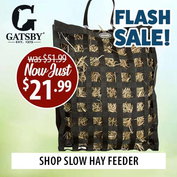 Gatsby slow hay feeder with flash sale text and price reduction on a gradient background