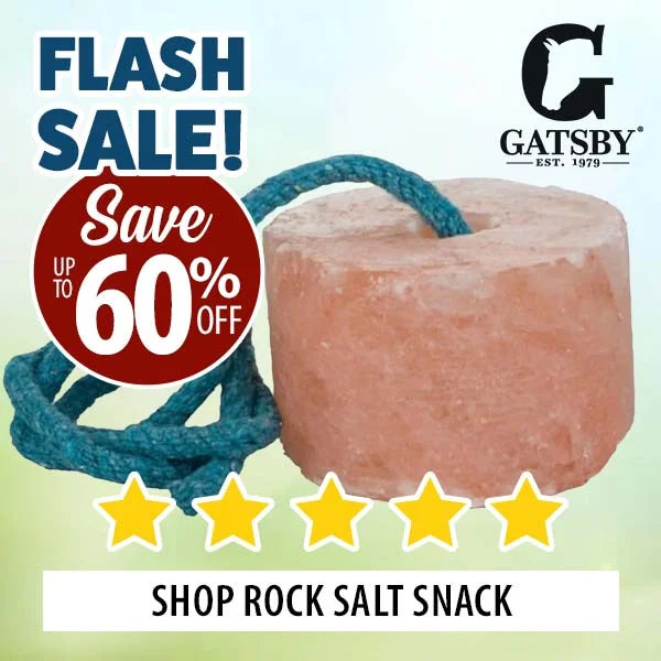 Gatsby rock salt snack with rope on a green background, featuring a flash sale promotion.