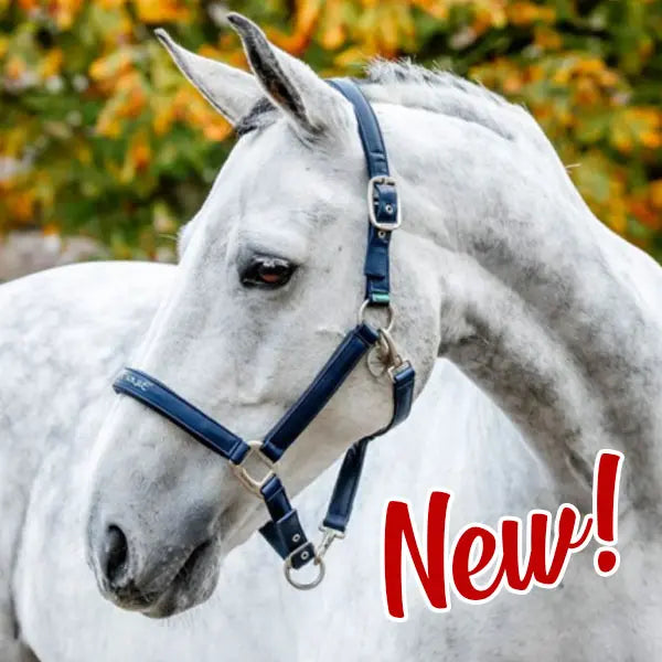 White horse wearing a blue bridle with 'New!' text in red.