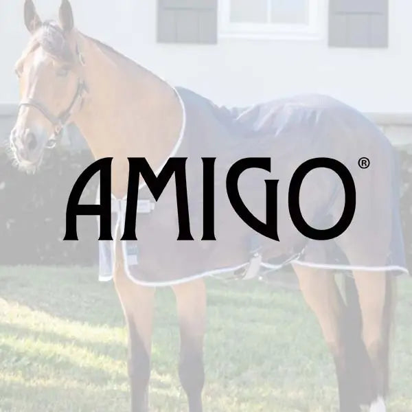 Horse wearing a rug with 'AMIGO' logo in the foreground