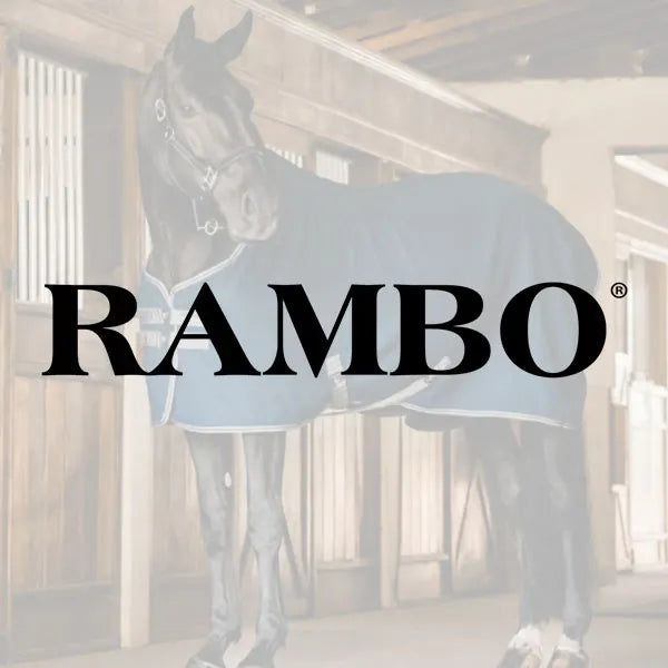 Horse wearing a blue blanket with 'RAMBO' branding in a stable.