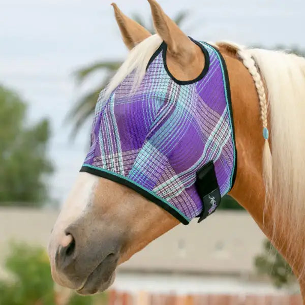 Horse wearing a purple plaid fly mask.