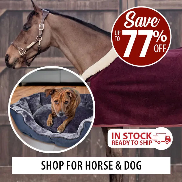Horse blanket with a dog bed inset