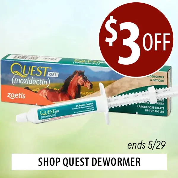 Quest dewormer gel packaging with a horse on a green background, featuring a $3 off discount offer.