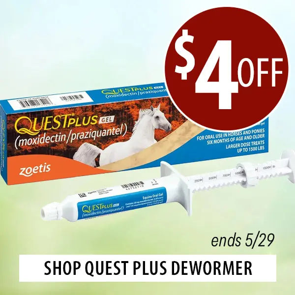 Quest Plus gel packaging with syringes and promotional text on a light green background