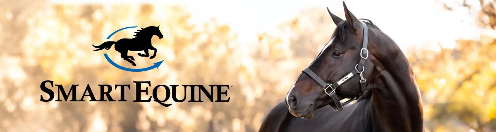 Dark horse with Smartequine Logo