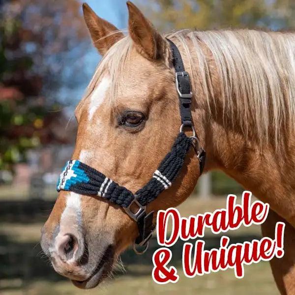 Palamino horse wearing a wool cinch halter with text saying Durable and Unique! 