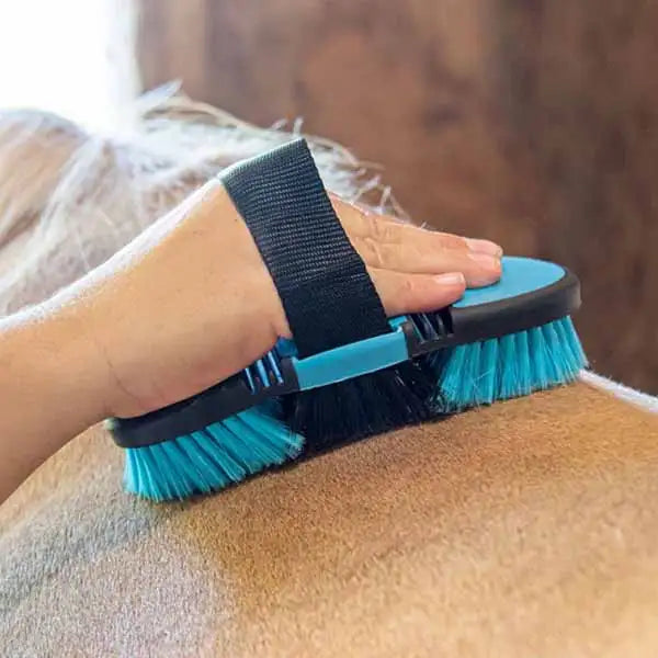 Teal and black grooming brush