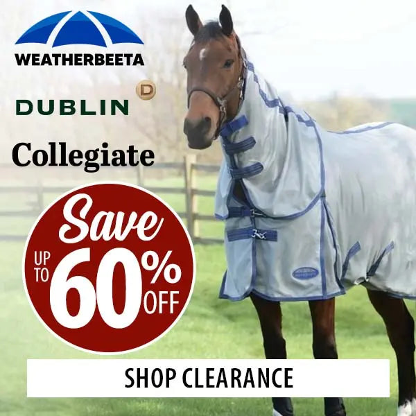 Horse wearing a fly sheet advertising sale for Weatherbeeta, Dublin, and Collegiate