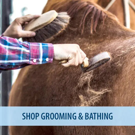 Person grooming a horse with a brush, with text 'Shop Grooming & Bathing' at the bottom.